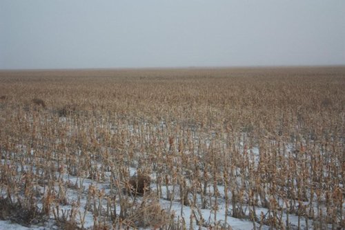 Property photo 46 - Kansas Land Auction - 960 Acres - 7 Farms in 3 Counties